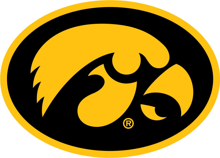 Iowa Hawkeyes 1993-Pres Alternate Logo v2 iron on transfers for T-shirts